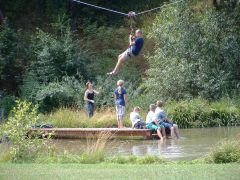 flying_fox03.jpg