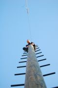 pamper_pole01.jpg