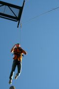pamper_pole04.jpg